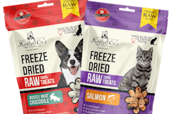 Kelly & Co's innovation in pet nutrition wins silver at 11th Annual Asia-Pacific Stevie Awards.