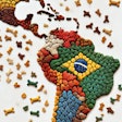 Dall·e 2024 06 27 06 33 29 A Map Of Latin America Made With Dog Kibble Arranged Like A Mosaic The Different Countries Are Outlined And Distinguishable By Variations In Kibble C
