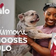 Nulo launched the 'Fuel Incredible' campaign with gold medalist gymnast Simone Biles and her French Bulldogs