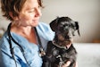 Veterinarians remain a reliable source of pet information in pet owners’ eyes, but other sources of information are gaining ground among millennials and Gen Z.