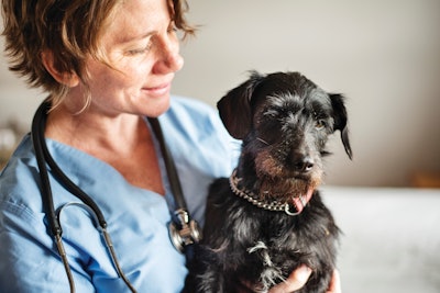 Veterinarians remain a reliable source of pet information in pet owners’ eyes, but other sources of information are gaining ground among millennials and Gen Z.