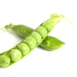Bunge’s new range of pea and faba protein concentrates are designed to enhance protein content and support non-GMO and allergen-free labeling.