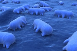 Eraxion Big Stock Photo com Salmonella Bacteria Blues