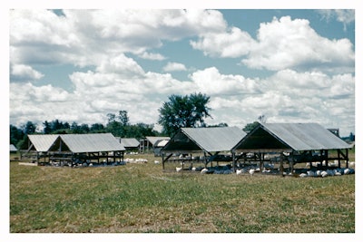 Burnbrae layer houses in the 1960s.