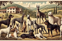 Dall·e 2024 07 23 10 02 27 A Novecento Italiano Style Illustration Featuring A Variety Of Italian Dog Breeds The Scene Is Set In An Italian Countryside With Rolling Hills And A