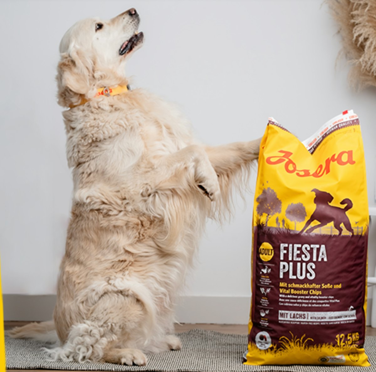 Pet food maker to hire 100 employees for new Polish factory