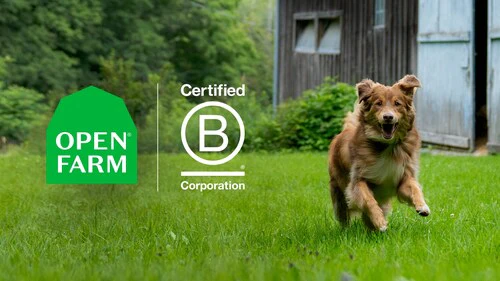 Open Farm achieves B Corp certification Open Farm achieves B Corp certification