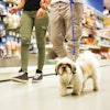 Pet owners treat their pets like family, and with that comes the same conflicts of desire vs. practicality in pet food purchasing that exist in human food purchasing.