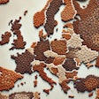 Dall·e 2024 07 31 14 20 39 A Detailed Map Of Europe Created Entirely Out Of Kibble Each Country Is Represented By Different Shapes And Sizes Of Kibble Pieces, Carefully Arrange