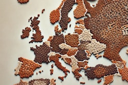 Dall·e 2024 07 31 14 20 39 A Detailed Map Of Europe Created Entirely Out Of Kibble Each Country Is Represented By Different Shapes And Sizes Of Kibble Pieces, Carefully Arrange