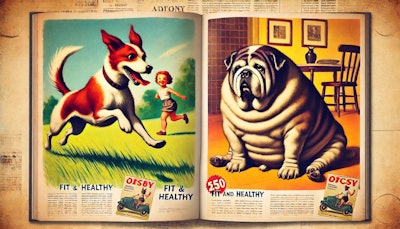 Dall·e 2024 08 08 11 39 04 A 1950's Style Magazine Advertisement Featuring Two Old Dogs One Dog Is Fit And Healthy, Running And Playing Energetically, While The Other Dog, Who