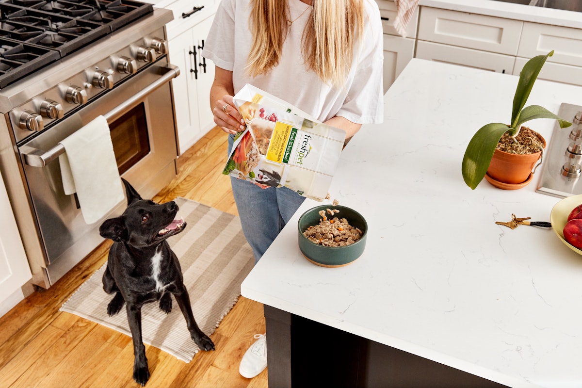 Freshpet reports strong Q2 results with increased sales improved profitability PetfoodIndustry