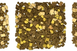 Muenster’s kibble plus offering includes multiple protein options.