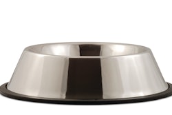 Ognjen Djokic Dreamstime com Stainless Bowl Empty