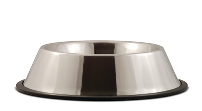 Ognjen Djokic Dreamstime com Stainless Bowl Empty