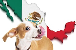 Susan Schmitz Corund Fotolia com Mexico Pet Market
