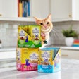 New Wellness Appetizing Entrées offer hydration for felines this summer.