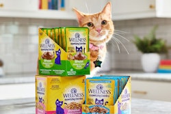 New Wellness Appetizing Entrées offer hydration for felines this summer.