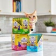 Wellness Pet Company Wellness Appetizing Entrées