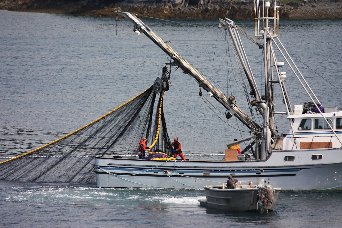 Alaska seafood market to develop pet food brand