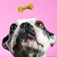 Higher pet treat prices may be driving some pet owners to cut back on their spending, leading to falling sales growth.