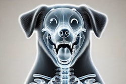 Dall·e 2024 09 05 11 11 35 A Detailed X Ray Image Of A Dog's Skeleton With An Overlay Of A Happy Dog, Where The Dog Has An Expressive Face Showing Joy The Image Should Highligh
