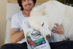 Ian Somerhalder and his white shepherd, Sequoia.