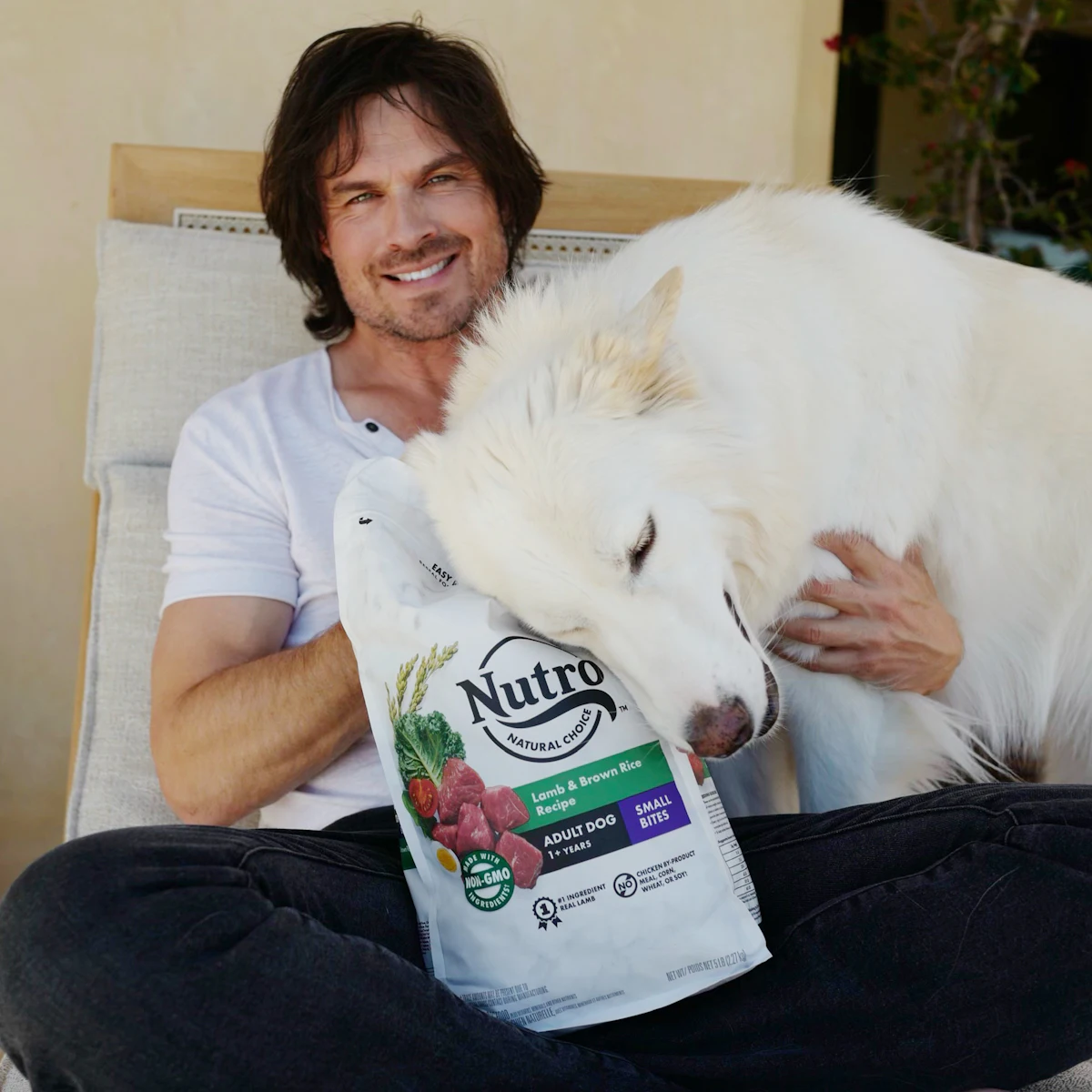 Designed for dogs, this farmers market raises pet food ingredient awareness Designed for dogs, this farmers market raises pet food ingredient awareness
