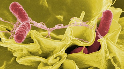 Five samples of Darwin’s Natural Pet Products raw cat and dog food tested positive for Salmonella and a sixth FDA sample tested positive for Salmonella and Listeria monocytogenes.