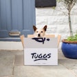 Tuggs creates fresh dog foods formulated with insects delivered through a subscription model in the UK.