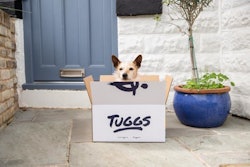 Tuggs creates fresh dog foods formulated with insects delivered through a subscription model in the UK.