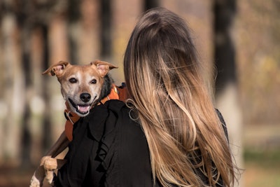 Technology is reshaping the standards of quality and efficiency in the pet food industry across LATAM.