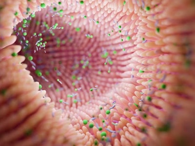 Registration is now open for Hill's 'Nourish the Gut, Nurture the Future' symposium in October.