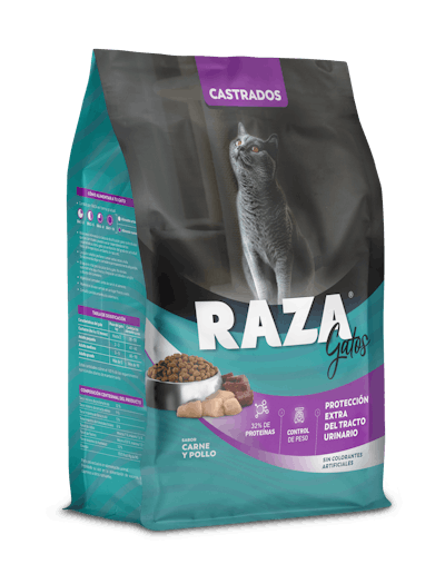 Spayed cat food sale