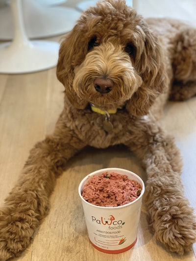 PawCo’s complete, fresh vegan dog food formulas aim to sustainably mix quality plant-based protein with all the vitamins and minerals a dog needs. Here, Paco the Doodle poses with the company’s green mix & carrots formula.