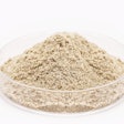 Yeast is among the plant-based proteins being used in pet diets.