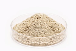 Yeast is among the plant-based proteins being used in pet diets.