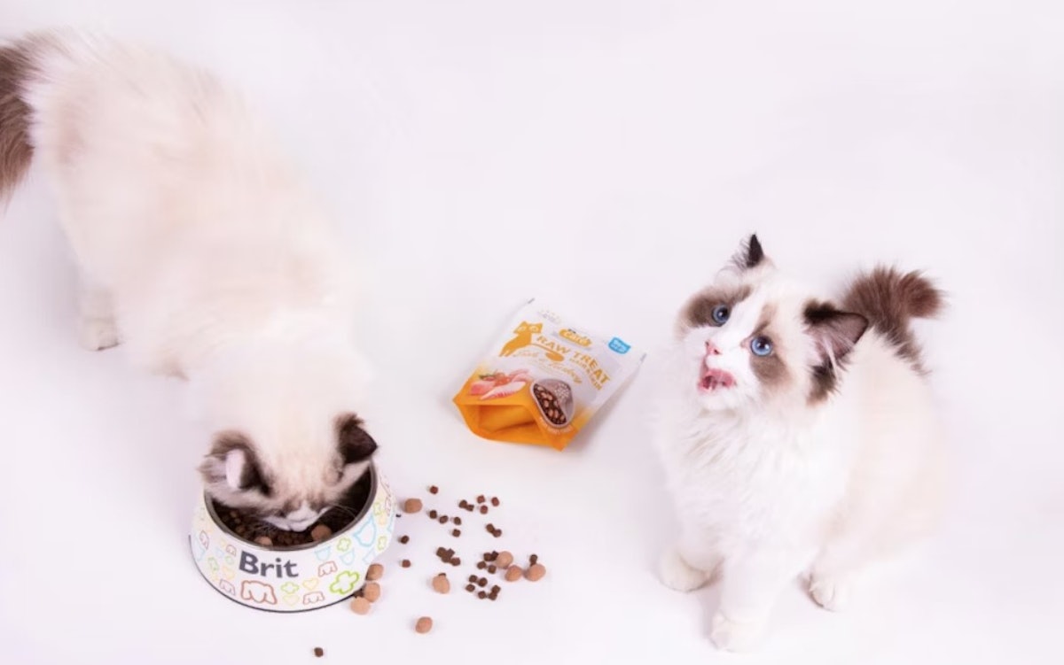 Czech producer acquires Austrian pet food business, launches new premium products