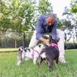 Dan Buettner, human longevity expert and author of The Blue Zones, is partnering with Get Joy on a new canine-focused docuseries.