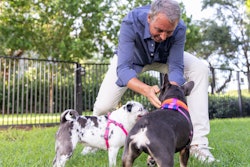 Dan Buettner, human longevity expert and author of The Blue Zones, is partnering with Get Joy on a new canine-focused docuseries.