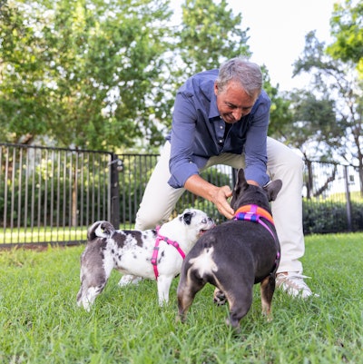 Dan Buettner, human longevity expert and author of The Blue Zones, is partnering with Get Joy on a new canine-focused docuseries.