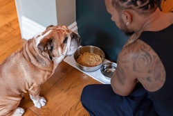 Roscoe is Bramble's news Chief Taste Officer.