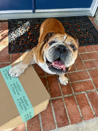 Bramble partners with Lewis Hamilton and his dog Roscoe PetfoodIndustry