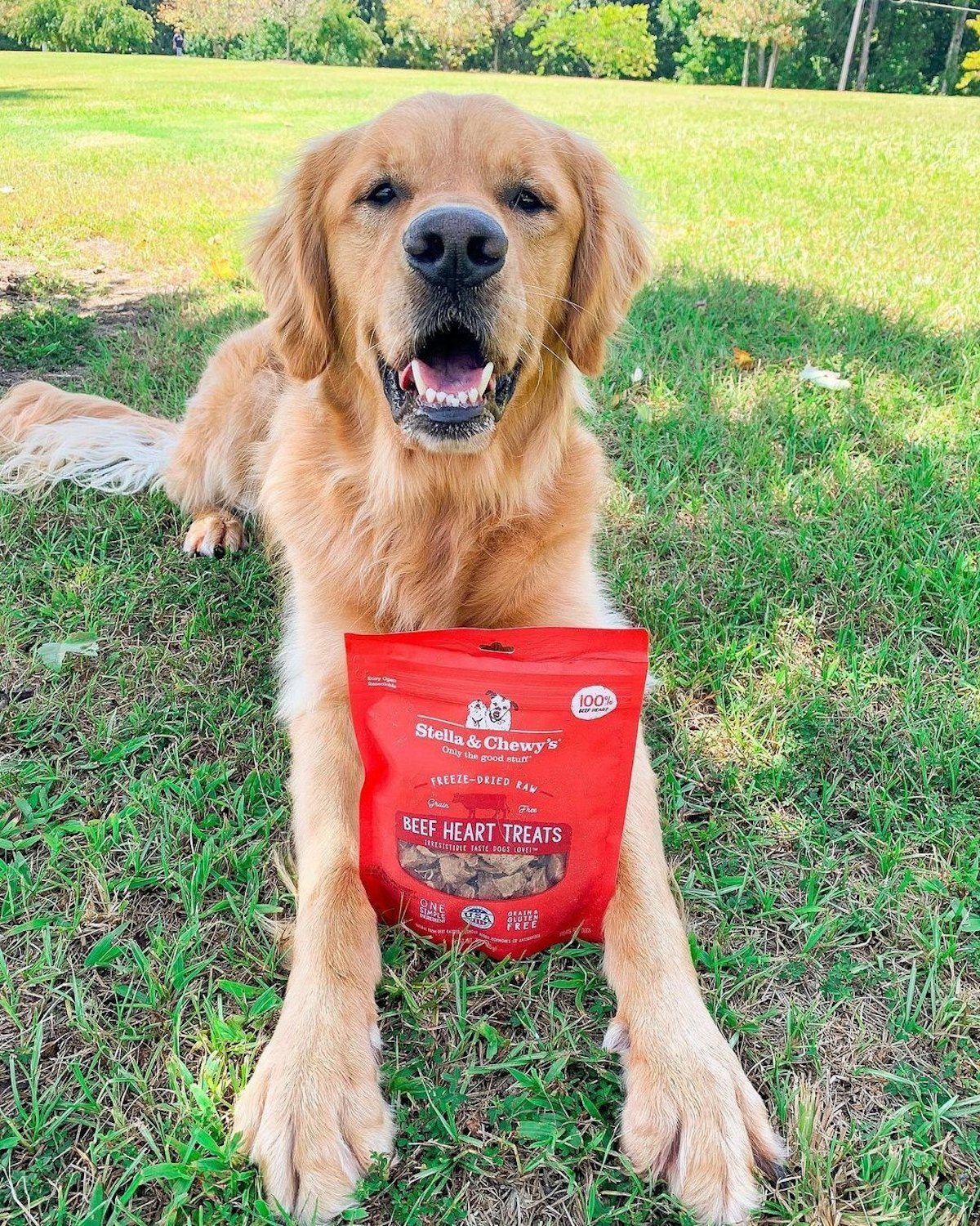 Stella and chewy treats on sale