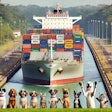 Dall·e 2024 10 21 15 53 54 A Cargo Ship Loaded With Pet Food Containers Is Passing Through The Panama Canal The Ship Is Large, With Stacks Of Colorful Containers Labeled With P