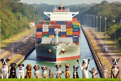 Dall·e 2024 10 21 15 53 54 A Cargo Ship Loaded With Pet Food Containers Is Passing Through The Panama Canal The Ship Is Large, With Stacks Of Colorful Containers Labeled With P
