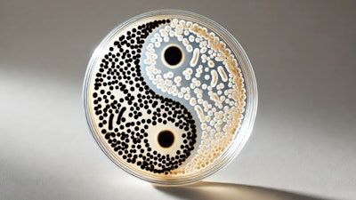 Dall·e 2024 10 28 15 31 36 A Close Up Image Of A Petri Dish With A Yin Yang Symbol Inside, Made From Colonies Of Light And Dark Bifidobacterium Bacteria The Bacteria Form Disti