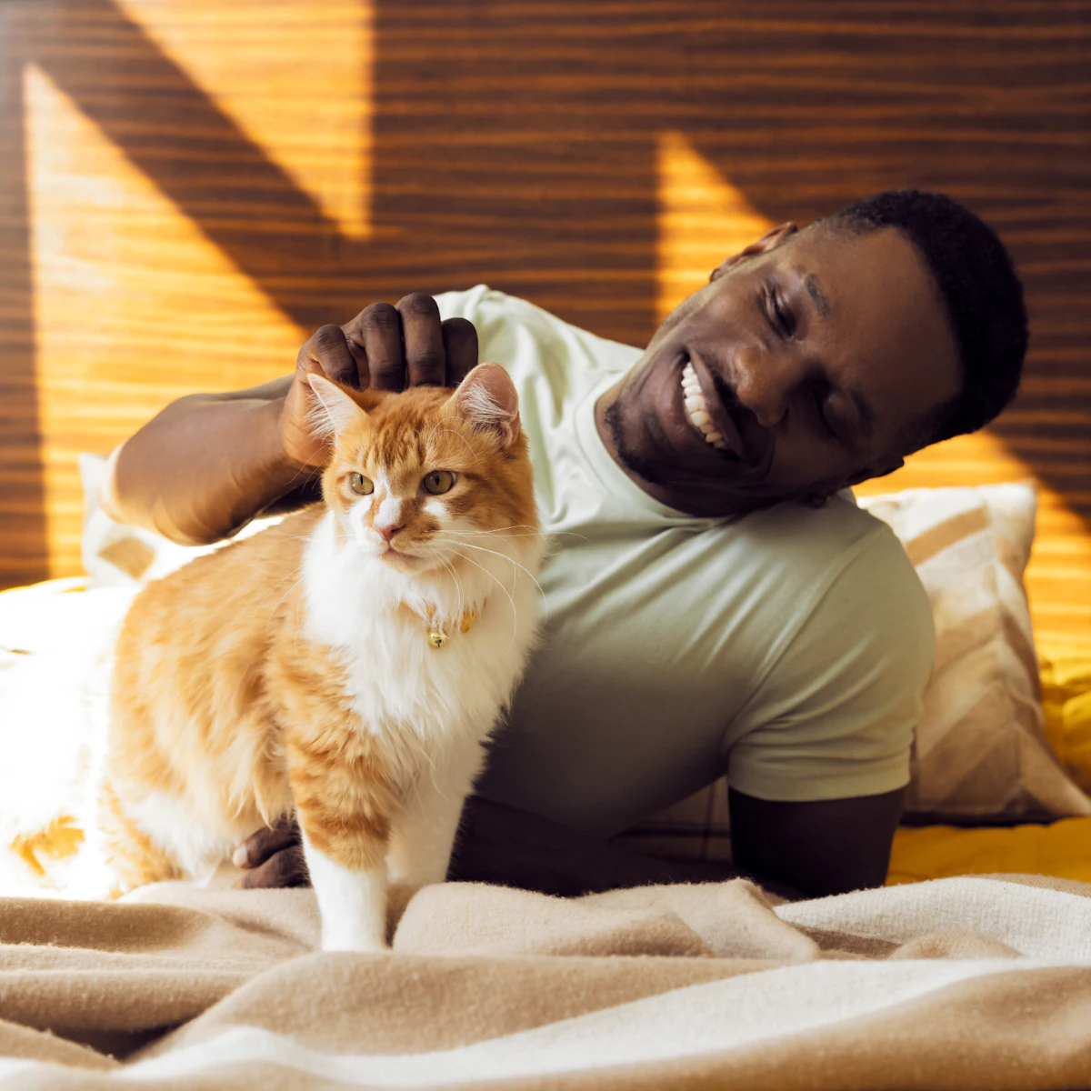 Study: More men than women own cats Study: More men than women own cats