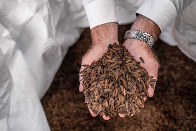 Maltento’s whole-dried larvae is produced at the company’s state-of-the-art insect breeding facility in Cape Town, South Africa.