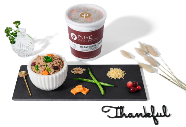 Pure Dog Food Turkey Holiday